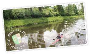 Post cards