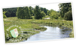 Post cards